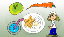 on-gesund-kochen-erklaer-1328191421.jpg