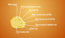 on-verdauung-erklaer-1328191001.jpg